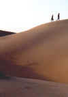 Dune.JPG (19660 bytes)